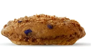 Blueberry Muffin Top 1